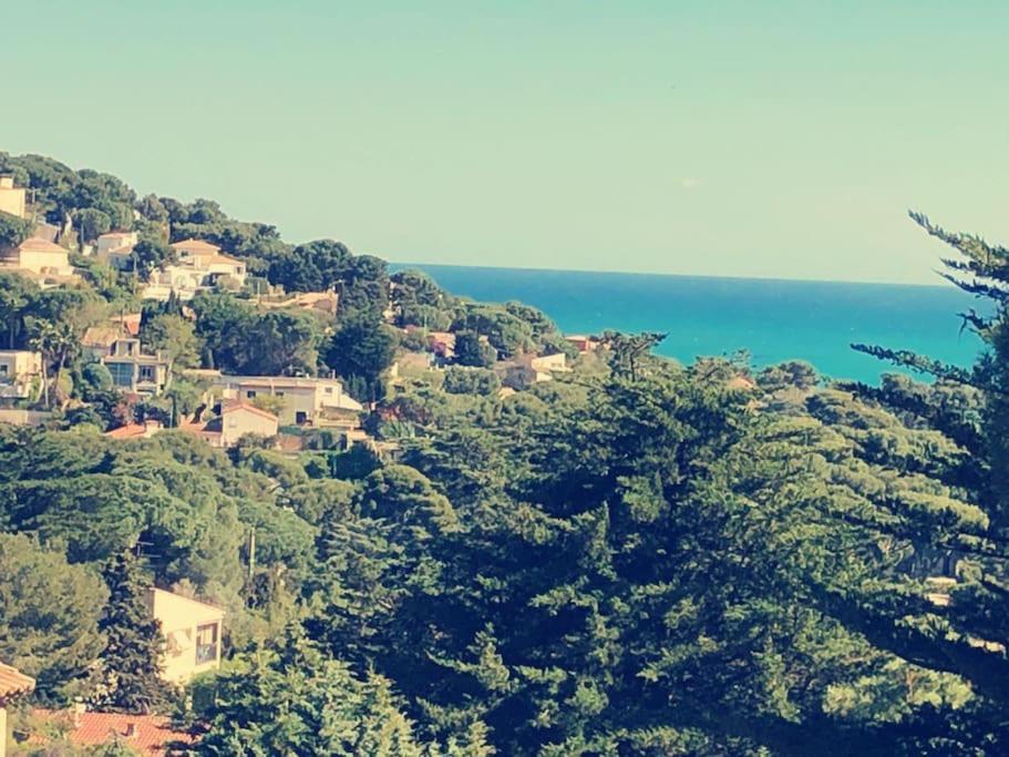 Maison St Clair Vue Mer Sète Dış mekan fotoğraf