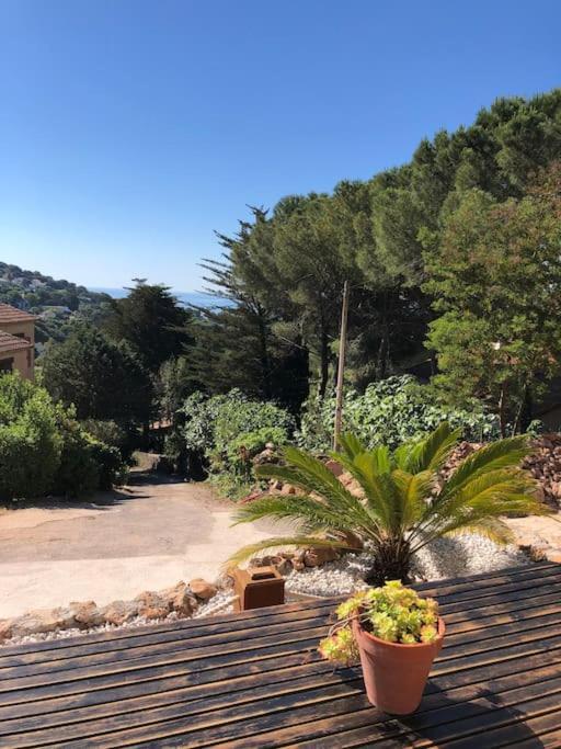Maison St Clair Vue Mer Sète Dış mekan fotoğraf
